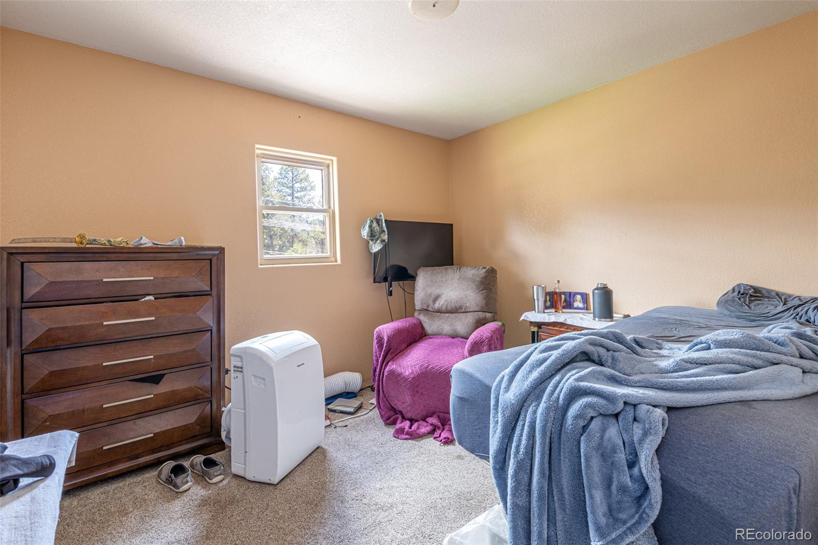 MLS Image #28 for 218  chester avenue,woodland park, Colorado