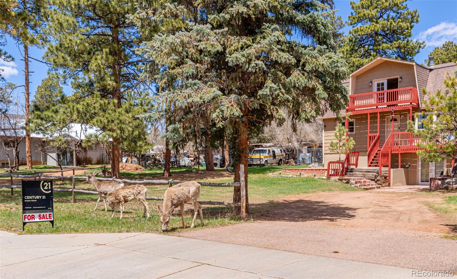 MLS Image #40 for 218  chester avenue,woodland park, Colorado