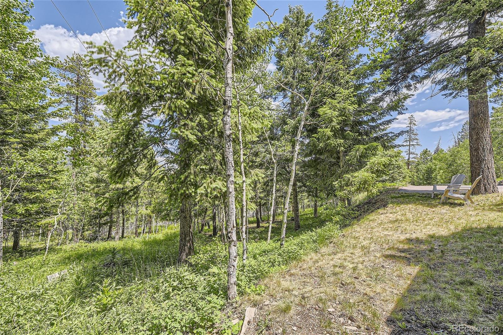 MLS Image #23 for 9871  city view drive,morrison, Colorado