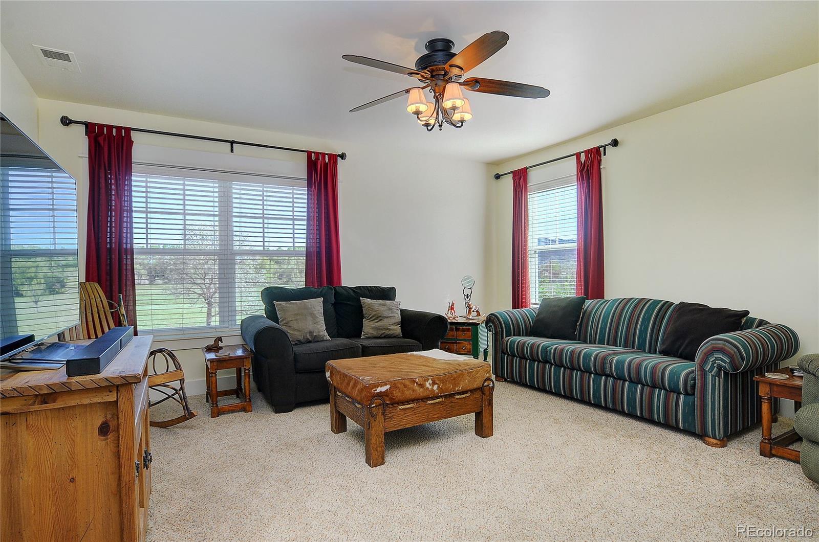 MLS Image #18 for 9  trailside circle,salida, Colorado