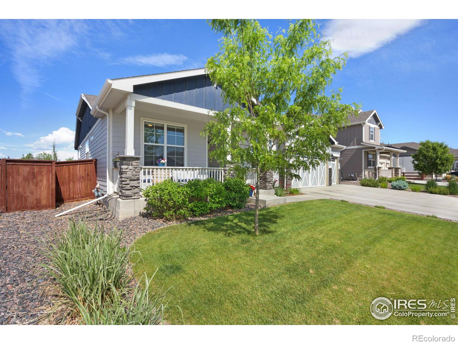 MLS Image #2 for 2156  reliance court,windsor, Colorado