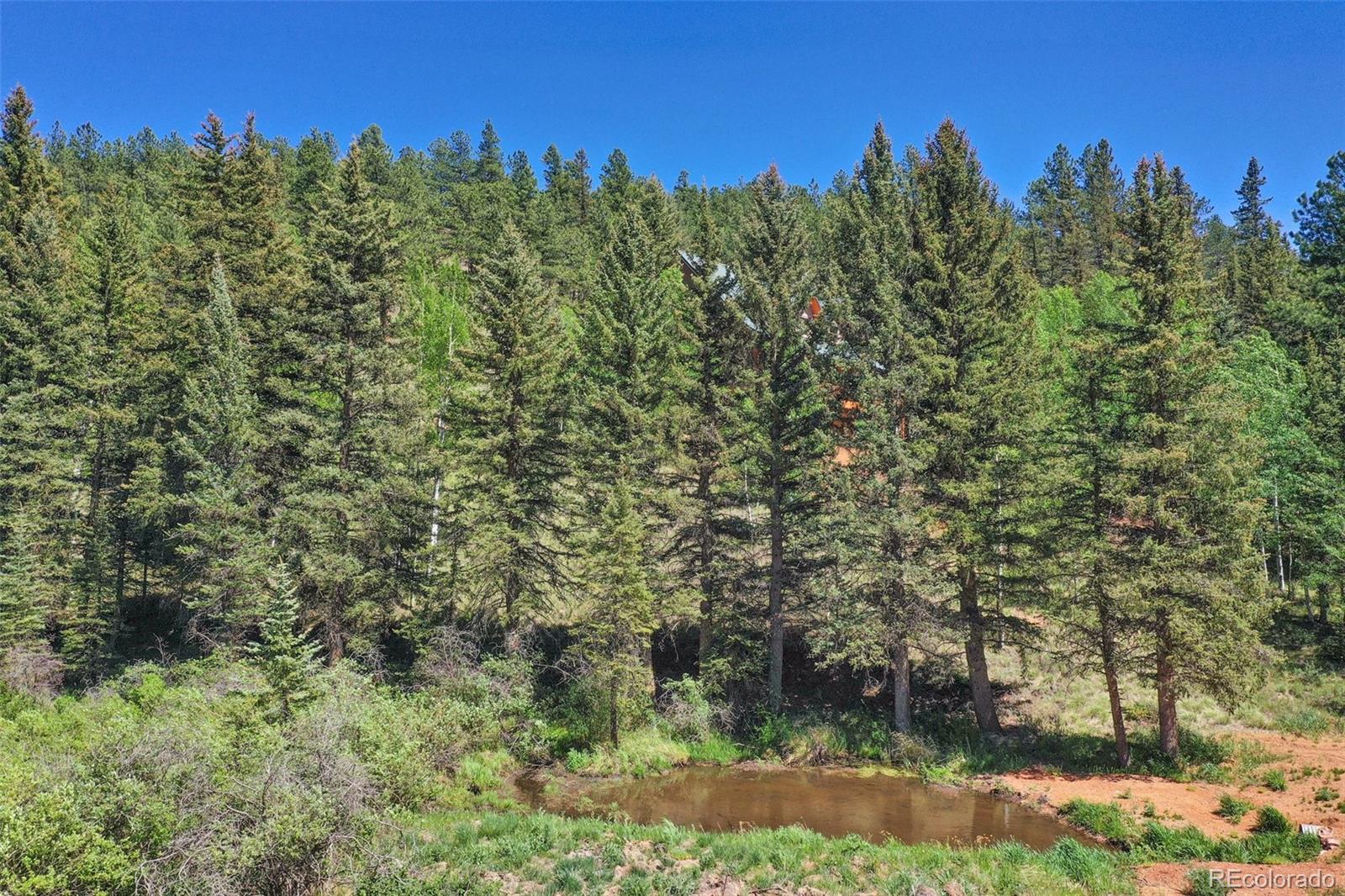 MLS Image #42 for 1152  pathfinder road,florissant, Colorado