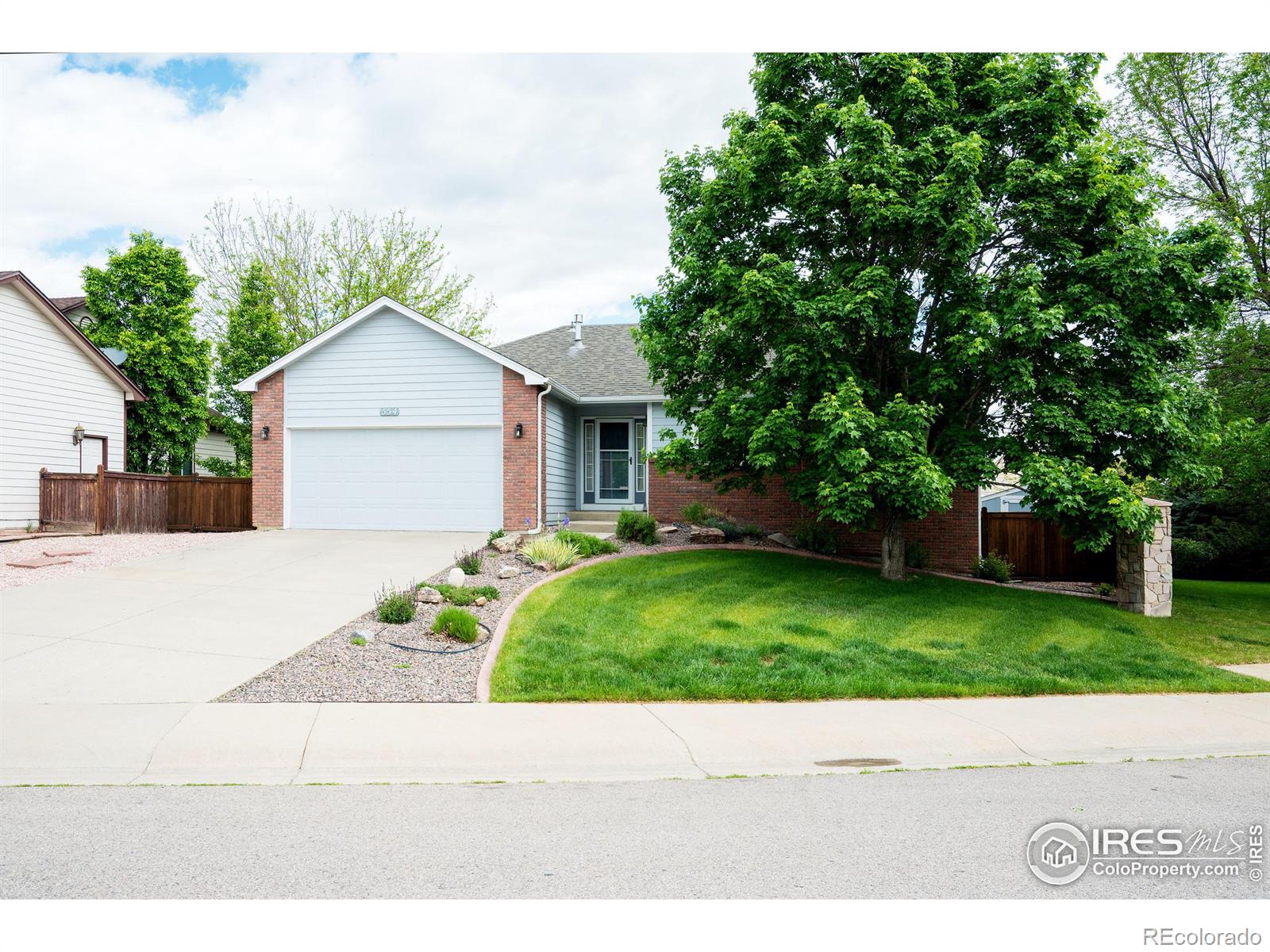 MLS Image #6 for 554  saturn drive,fort collins, Colorado