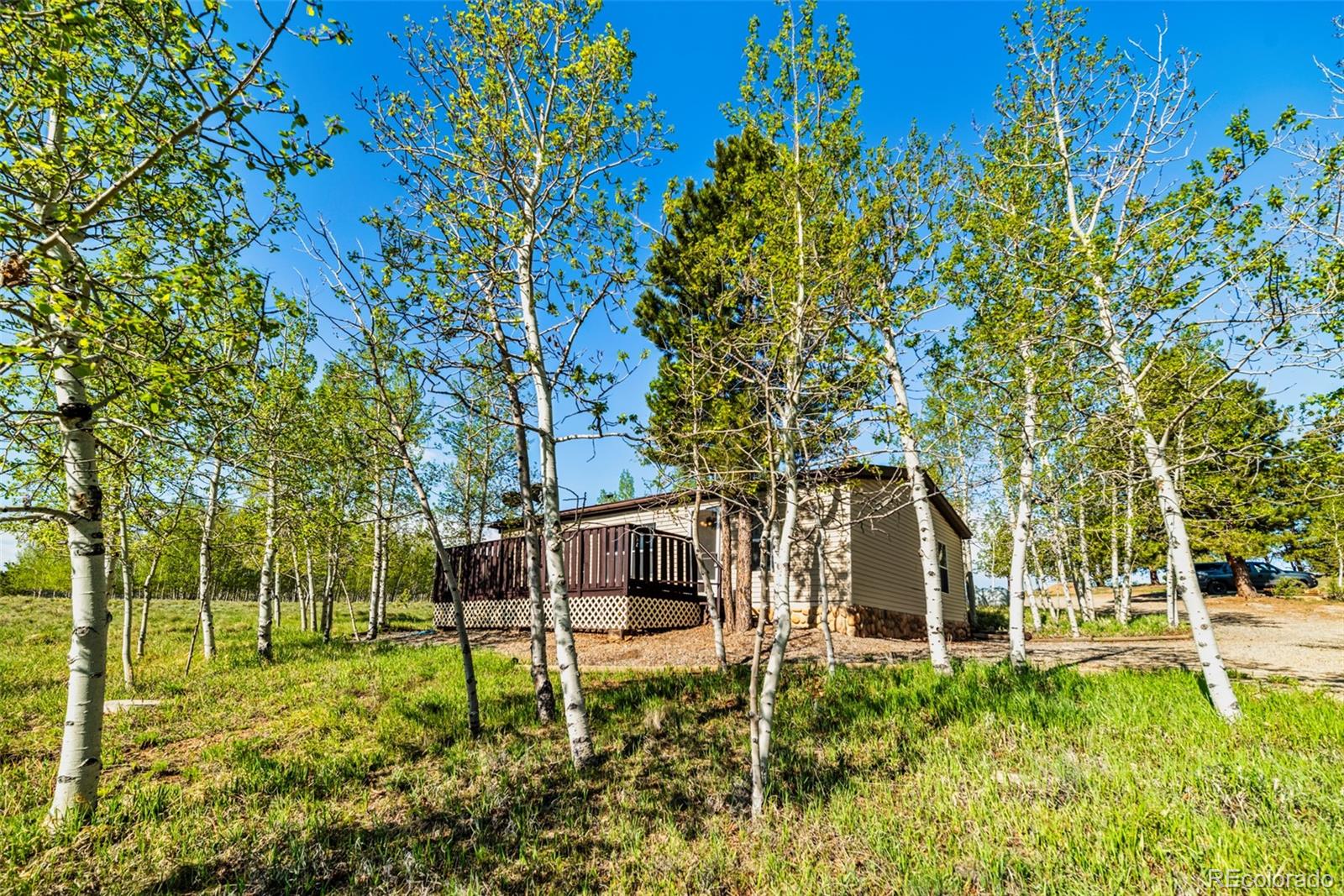 MLS Image #0 for 152  wagon wheel road,hartsel, Colorado