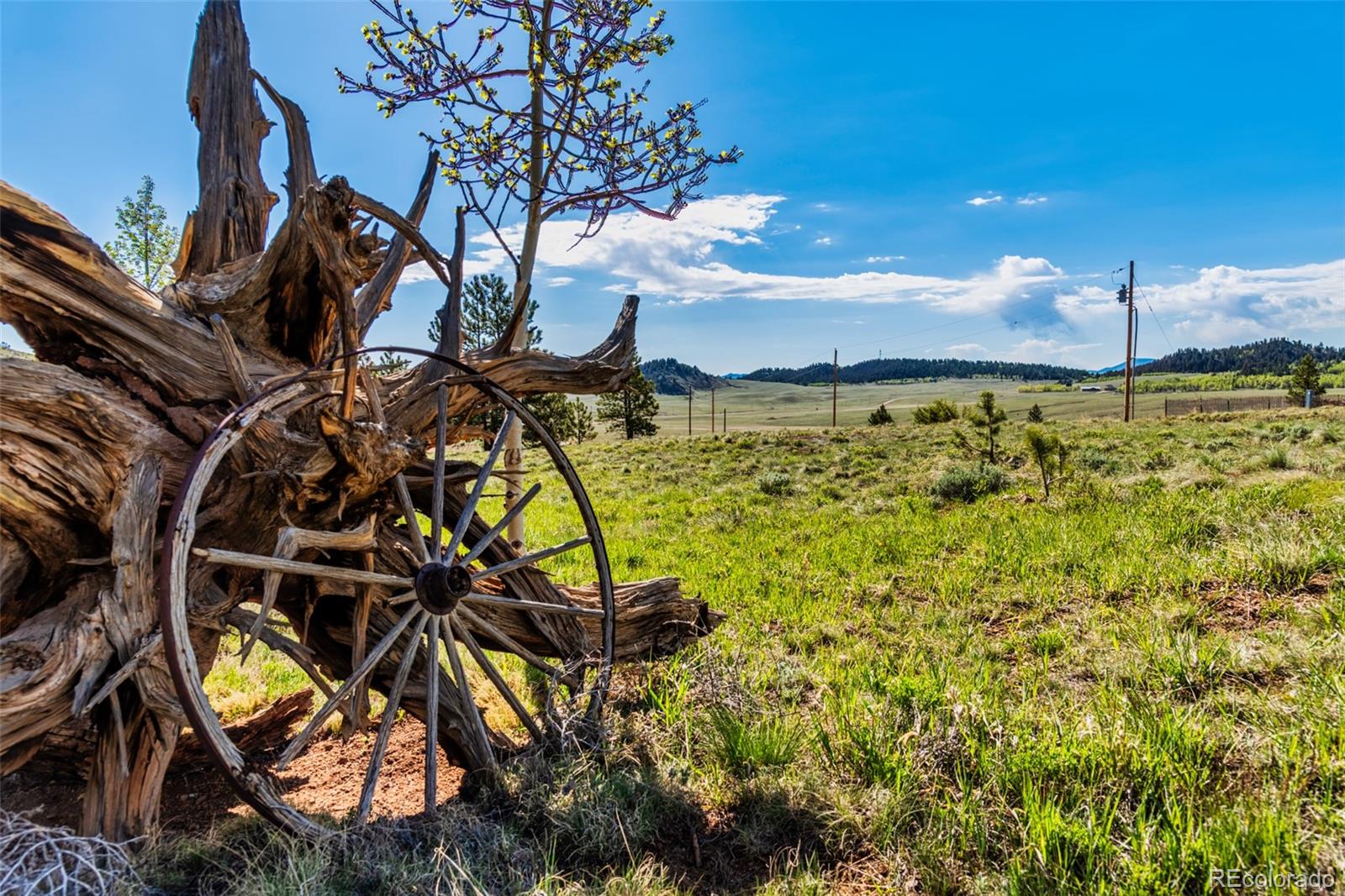 MLS Image #10 for 152  wagon wheel road,hartsel, Colorado