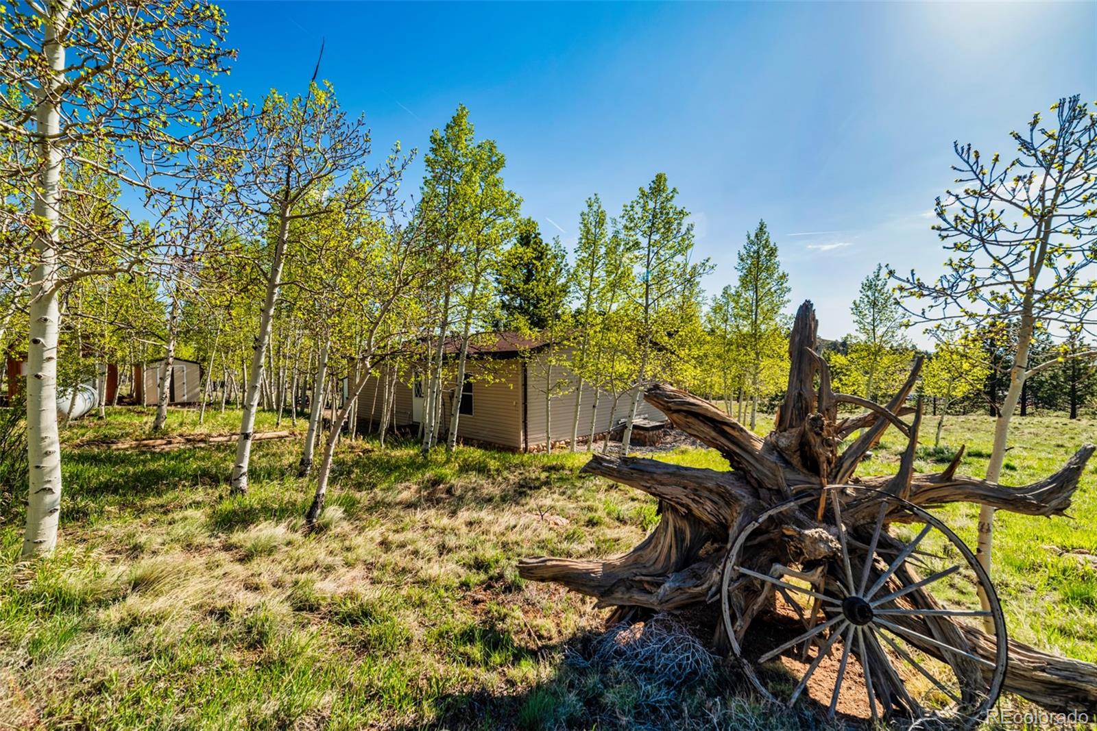 MLS Image #12 for 152  wagon wheel road,hartsel, Colorado