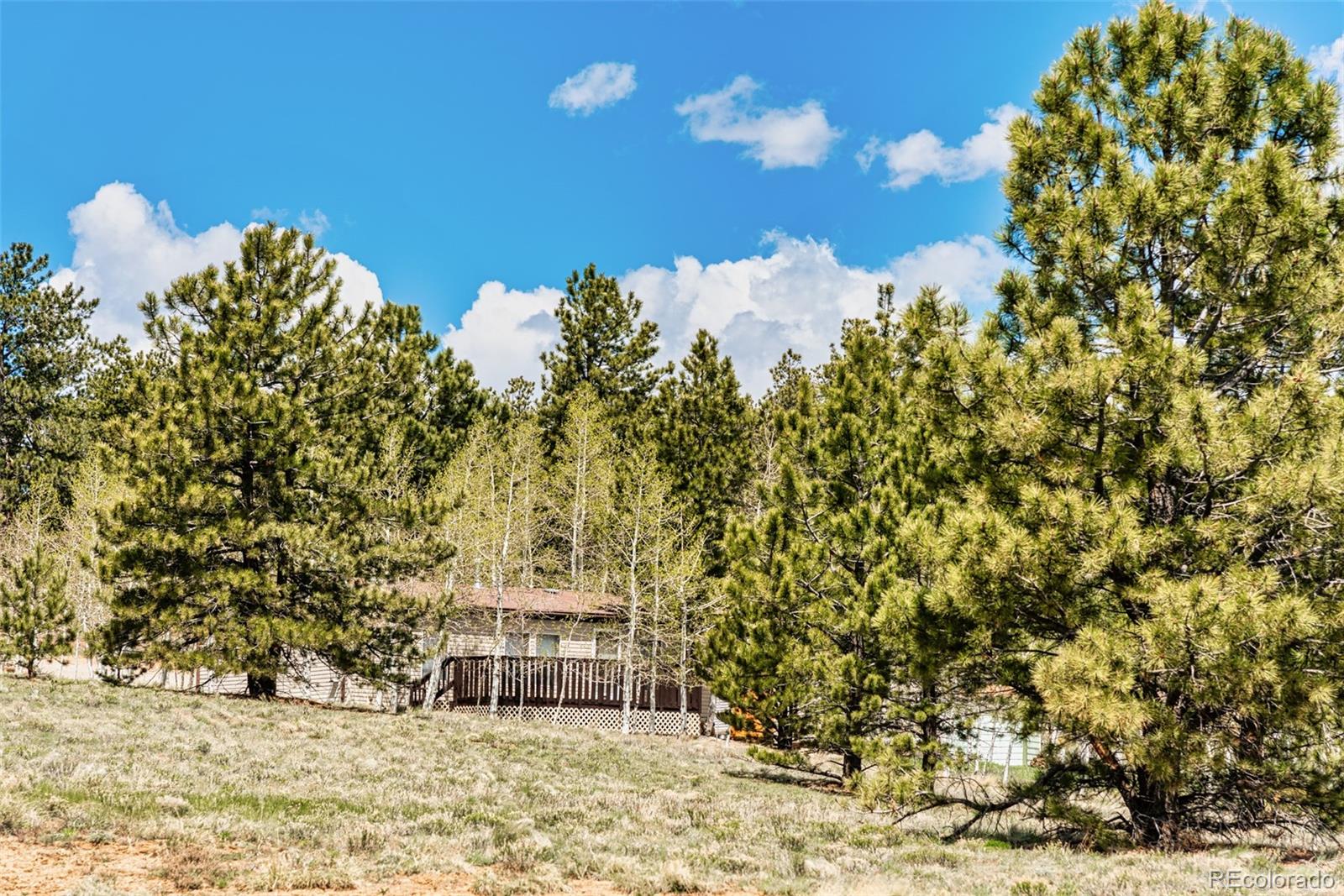 MLS Image #14 for 152  wagon wheel road,hartsel, Colorado