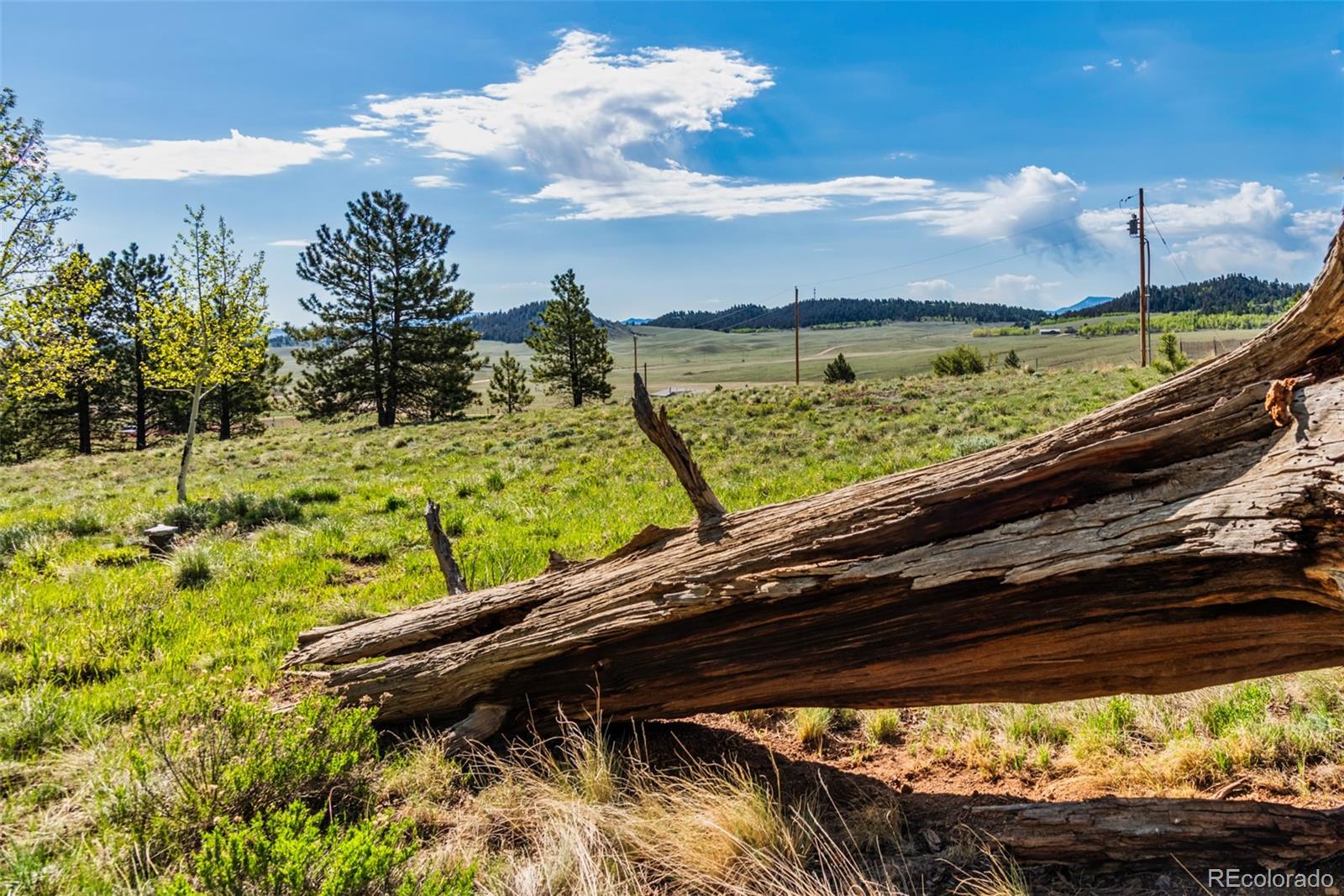 MLS Image #8 for 152  wagon wheel road,hartsel, Colorado