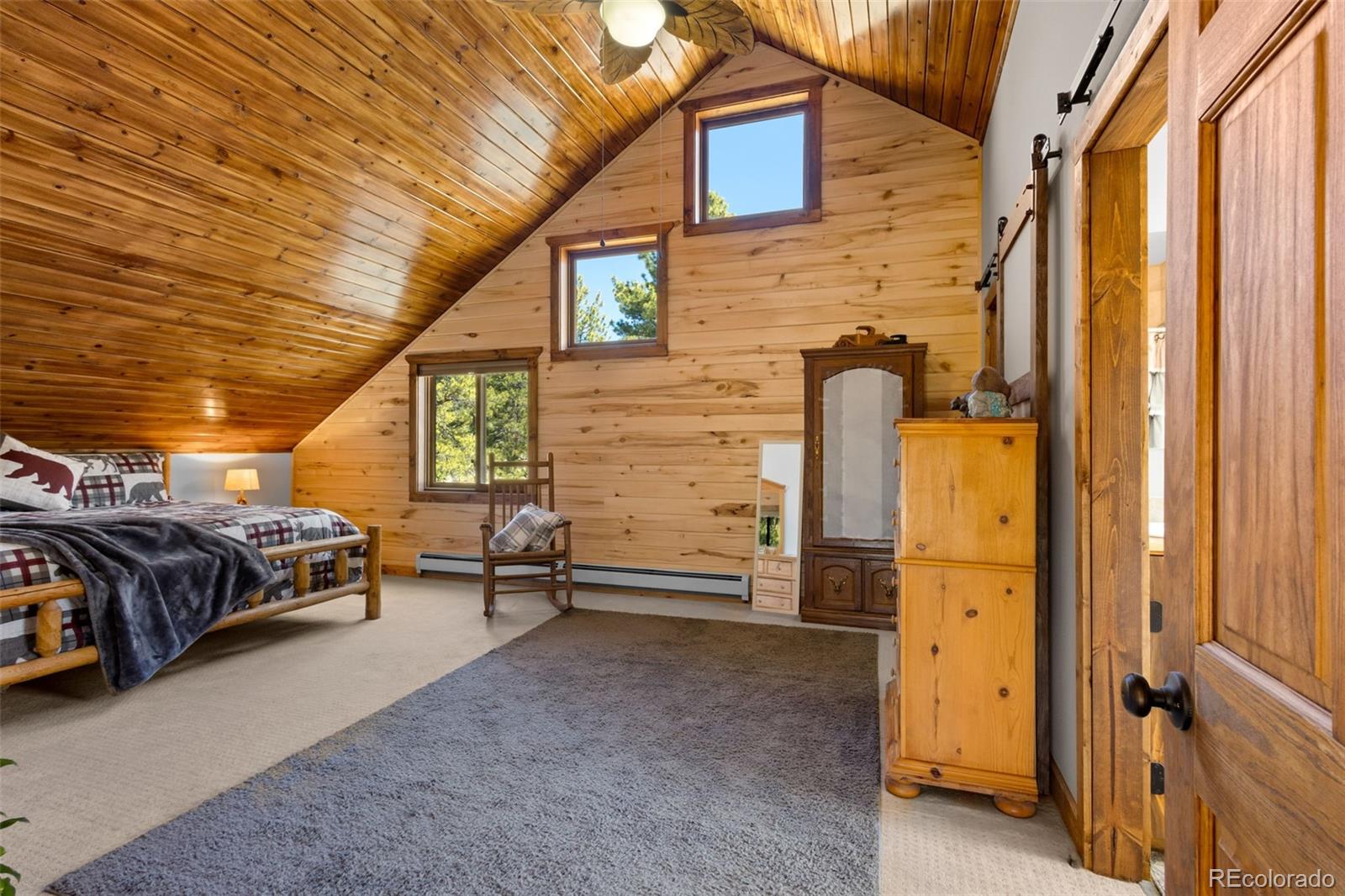 MLS Image #19 for 211  yarnell road,lake george, Colorado