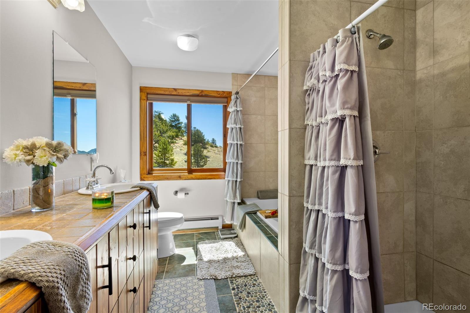 MLS Image #22 for 211  yarnell road,lake george, Colorado