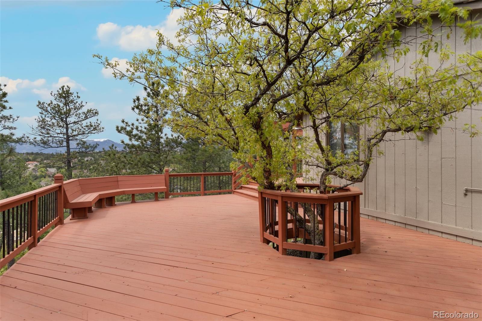 MLS Image #14 for 7725  eastwood road,colorado springs, Colorado