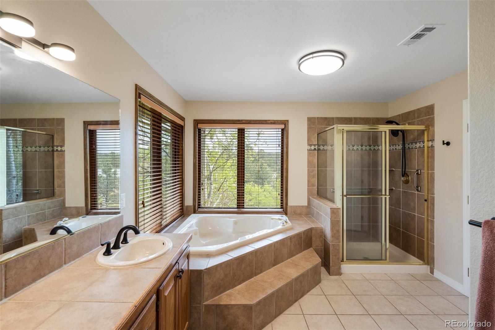 MLS Image #20 for 20335  fountain abbey court,monument, Colorado