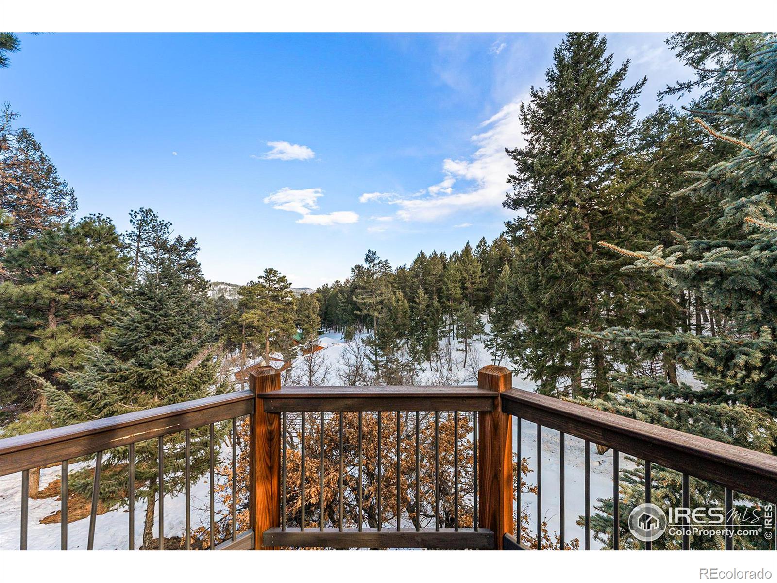 MLS Image #22 for 22374  park lane,morrison, Colorado