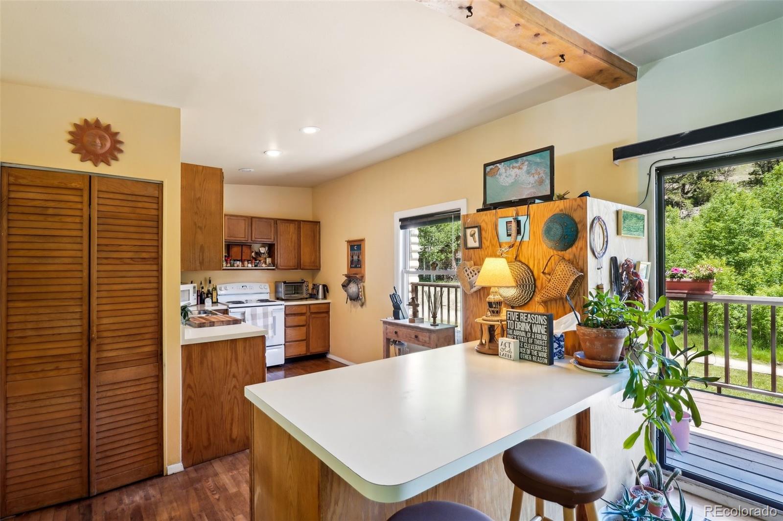 MLS Image #16 for 15  gray wolf place,idaho springs, Colorado