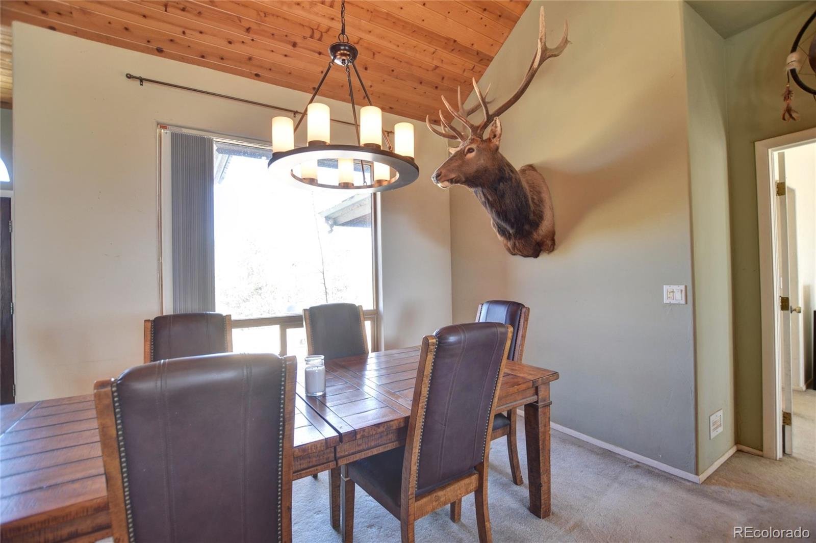 MLS Image #2 for 744  santana trail,hartsel, Colorado