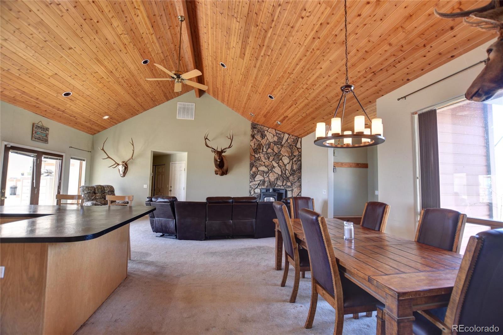 MLS Image #4 for 744  santana trail,hartsel, Colorado