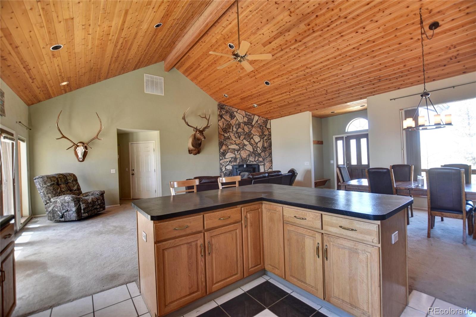 MLS Image #5 for 744  santana trail,hartsel, Colorado