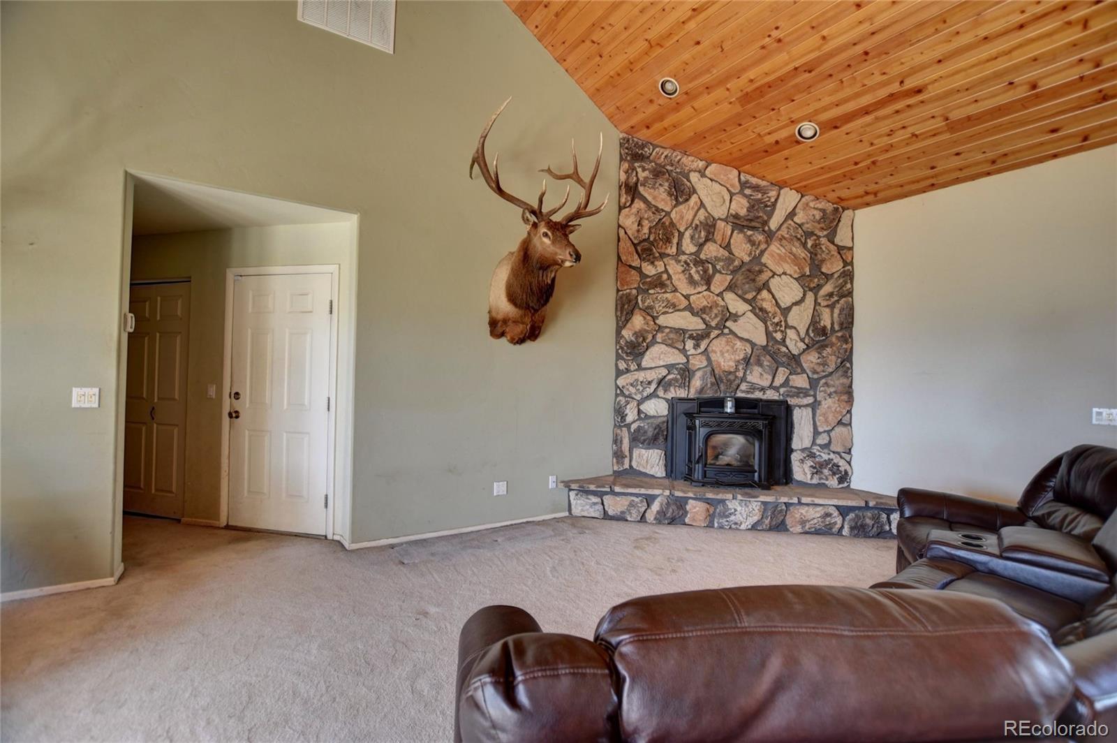 MLS Image #7 for 744  santana trail,hartsel, Colorado