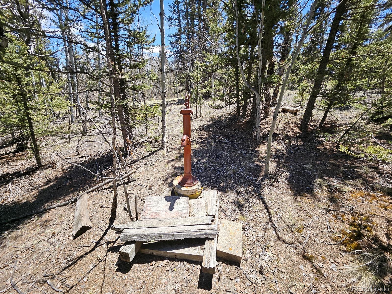 MLS Image #22 for 309  pepperbox path,jefferson, Colorado