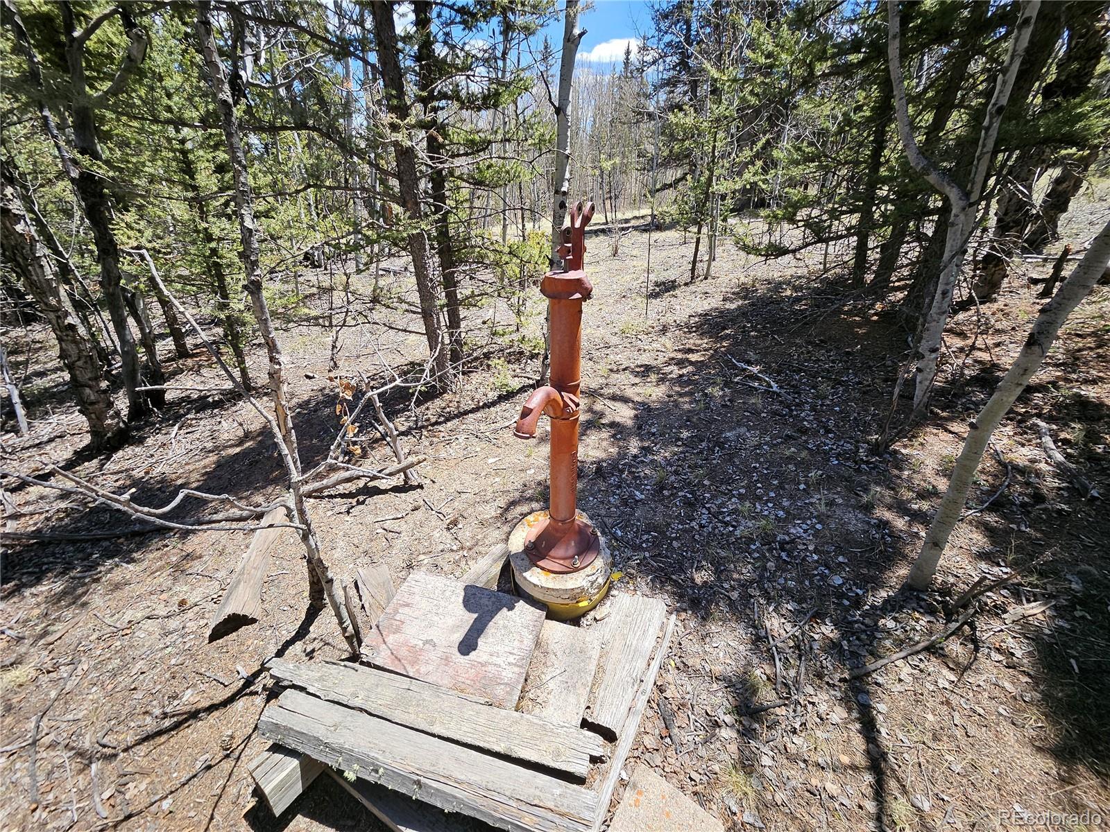 MLS Image #23 for 309  pepperbox path,jefferson, Colorado