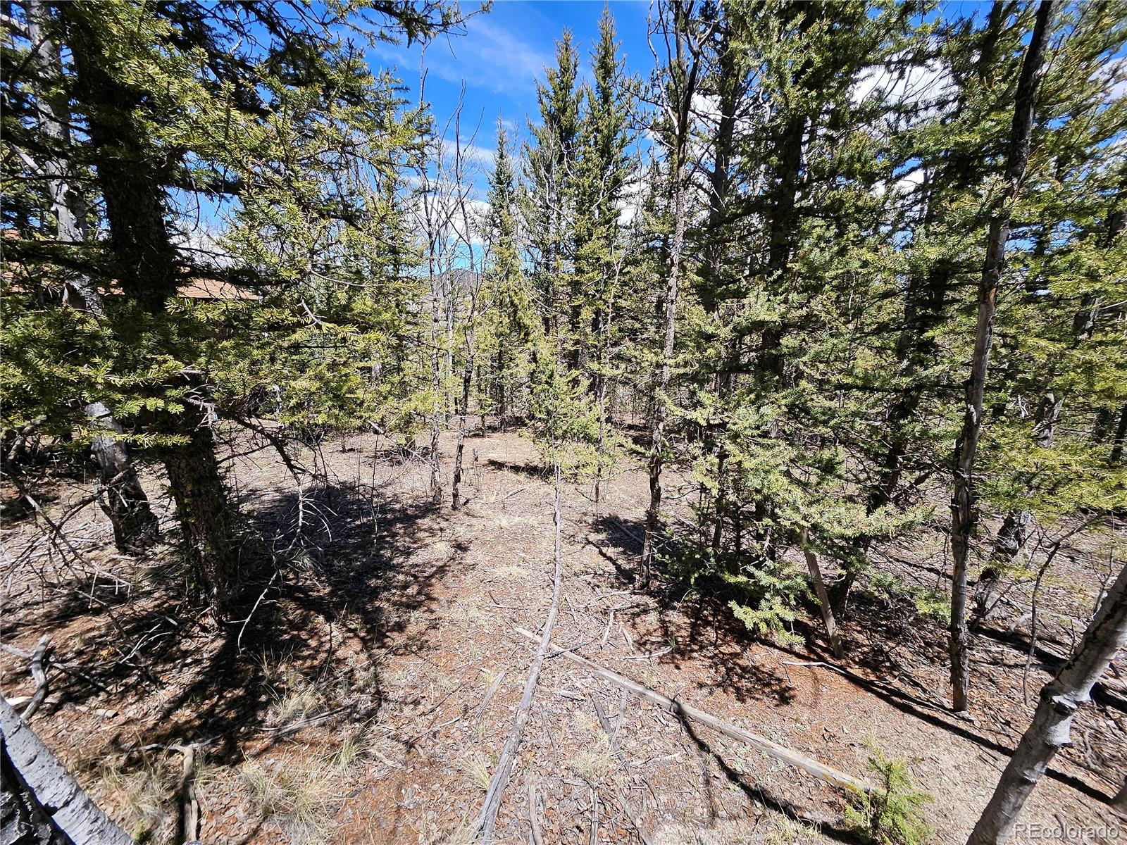 MLS Image #24 for 309  pepperbox path,jefferson, Colorado