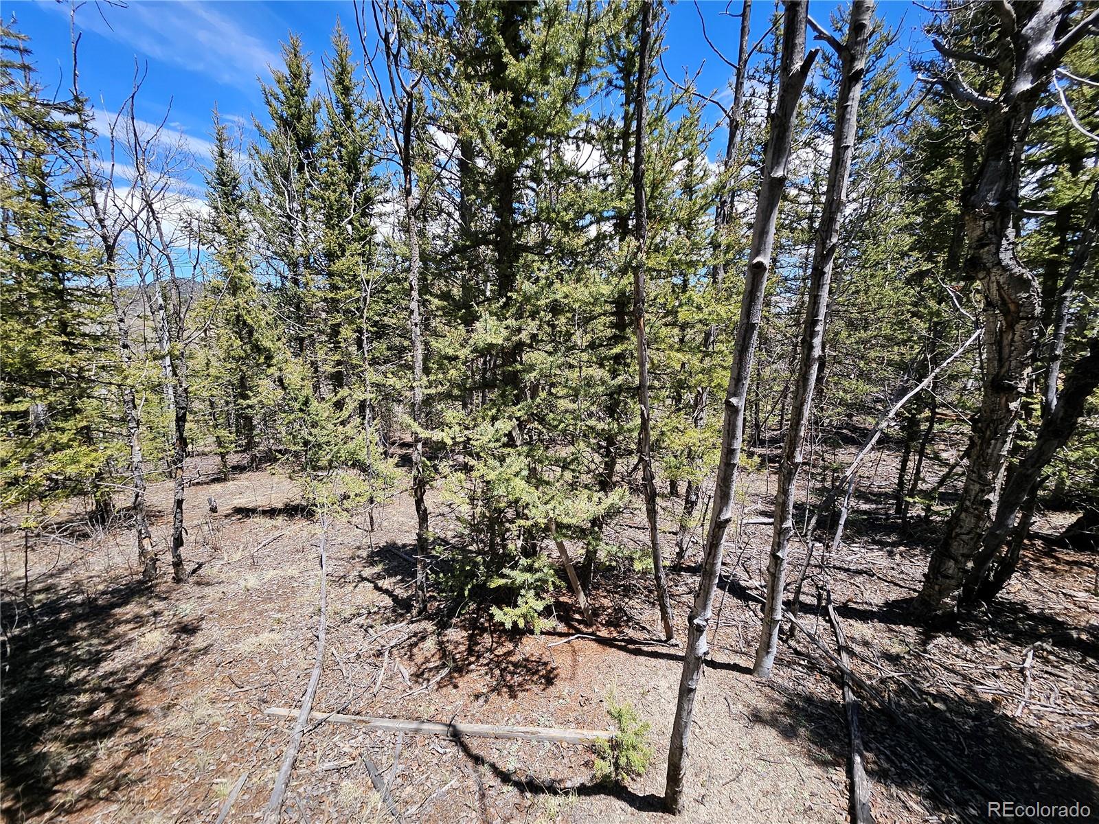 MLS Image #25 for 309  pepperbox path,jefferson, Colorado