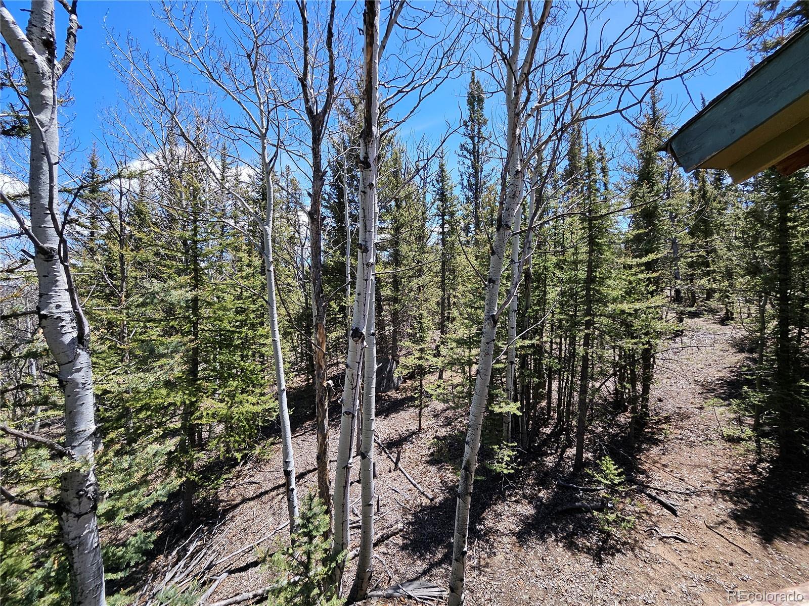 MLS Image #36 for 309  pepperbox path,jefferson, Colorado