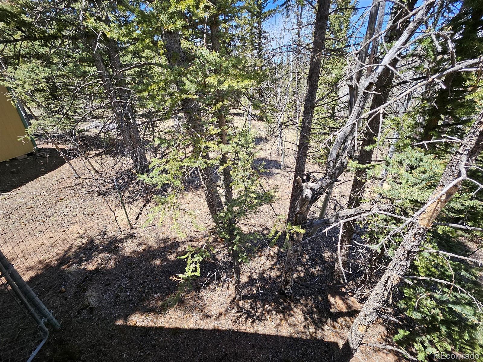 MLS Image #38 for 309  pepperbox path,jefferson, Colorado