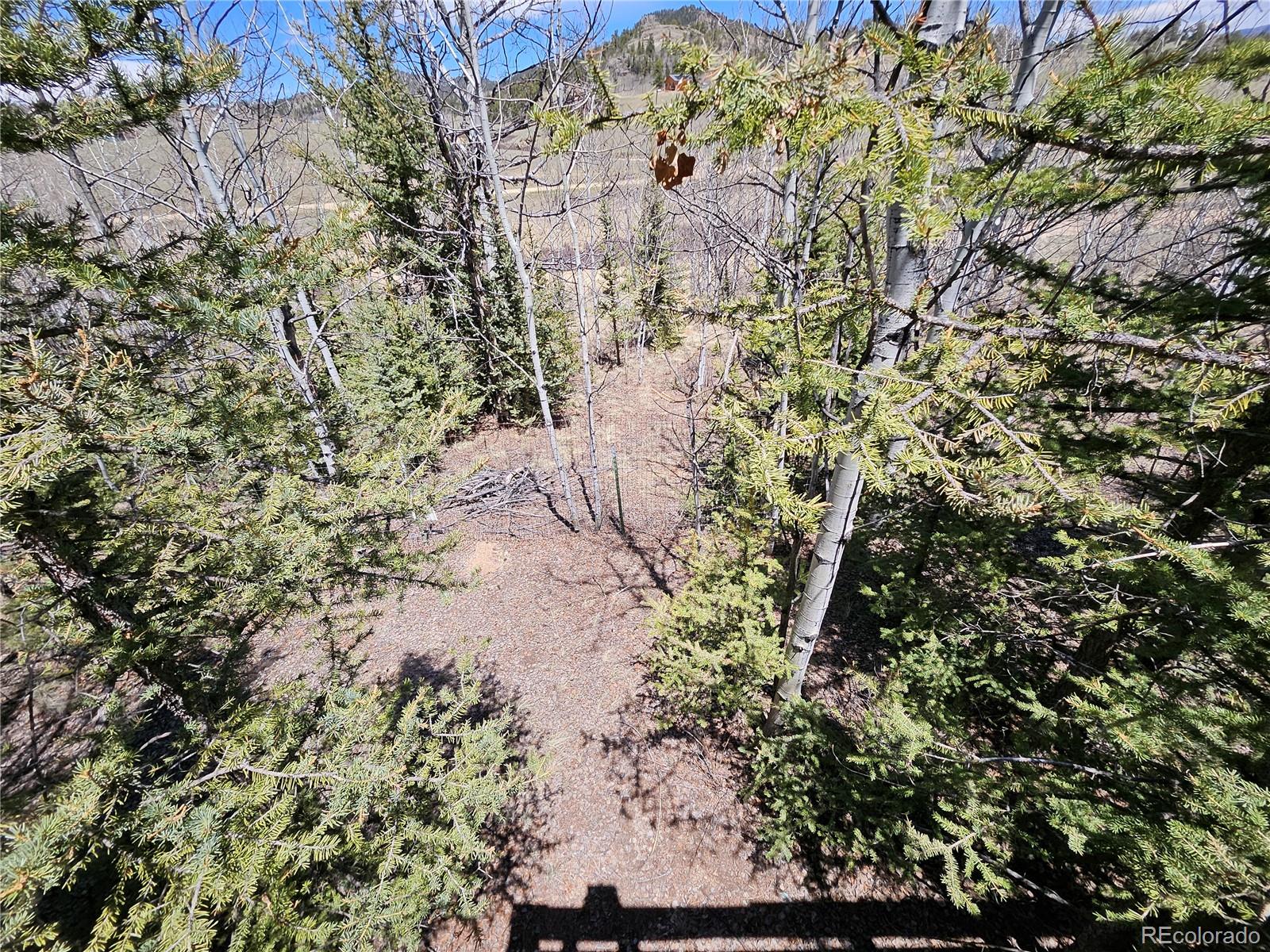 MLS Image #39 for 309  pepperbox path,jefferson, Colorado