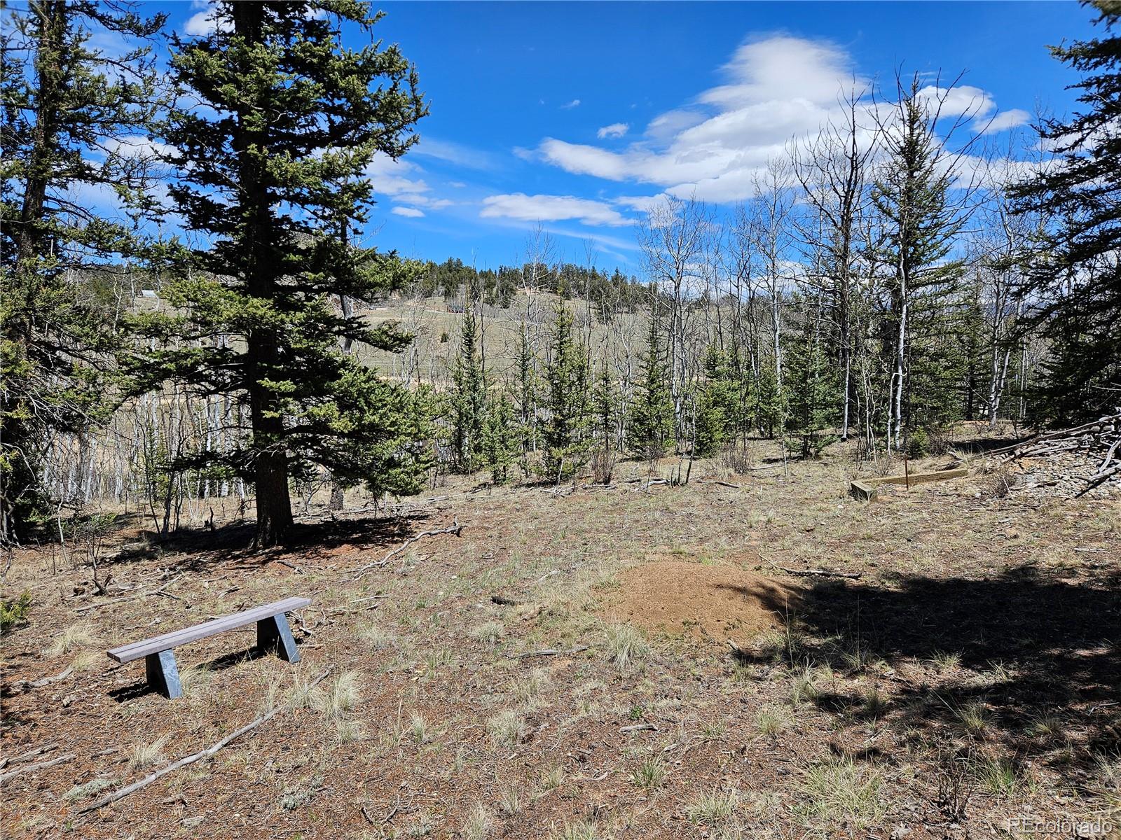 MLS Image #43 for 309  pepperbox path,jefferson, Colorado