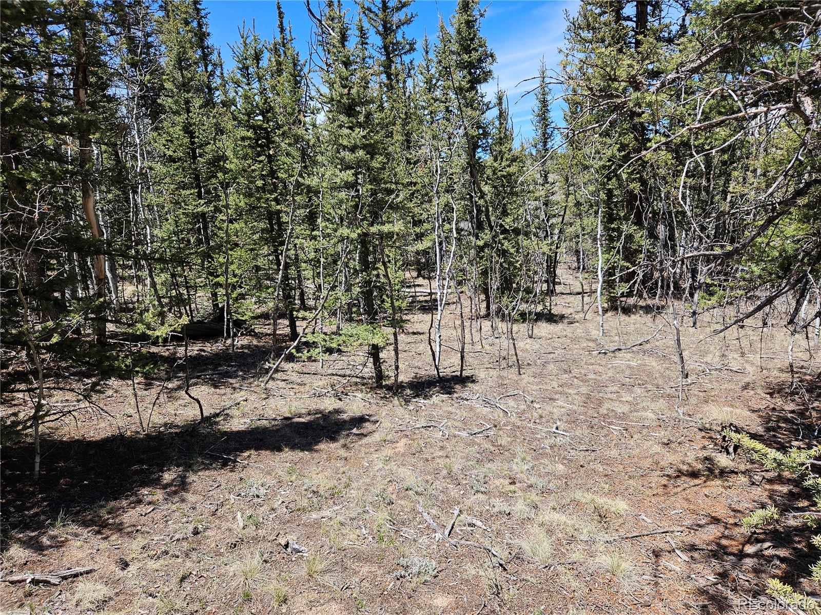 MLS Image #44 for 309  pepperbox path,jefferson, Colorado