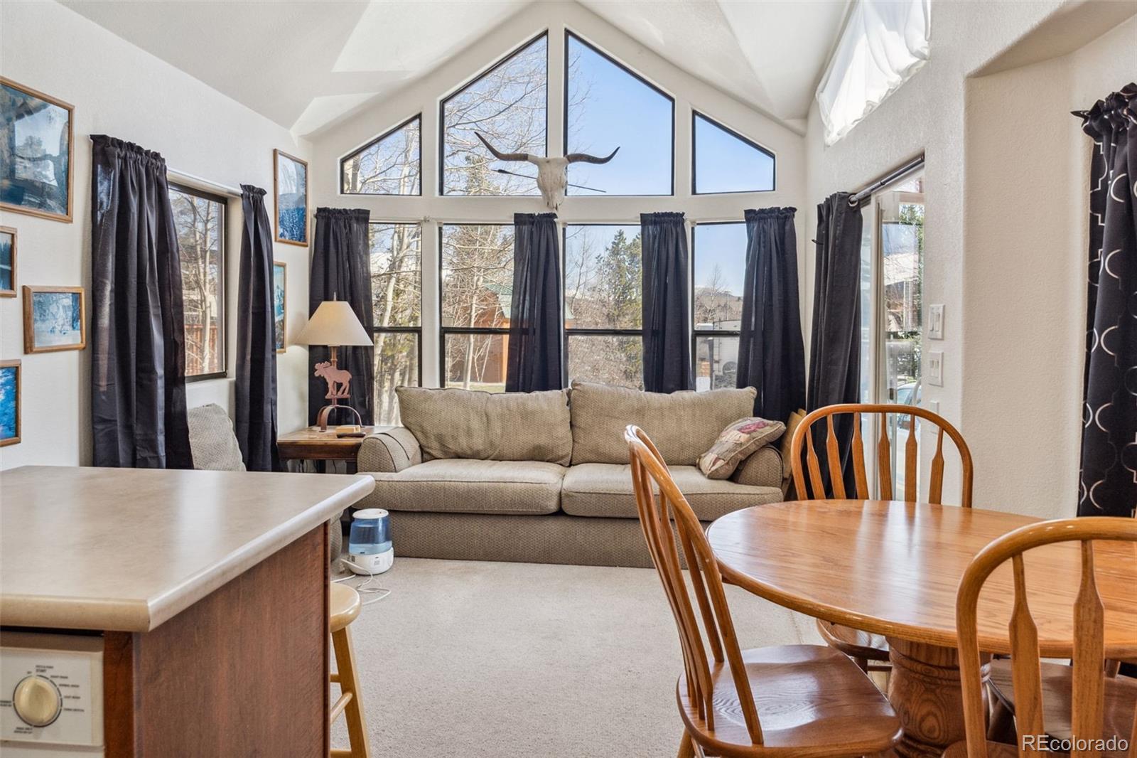 MLS Image #26 for 192  sunshine loop,fairplay, Colorado