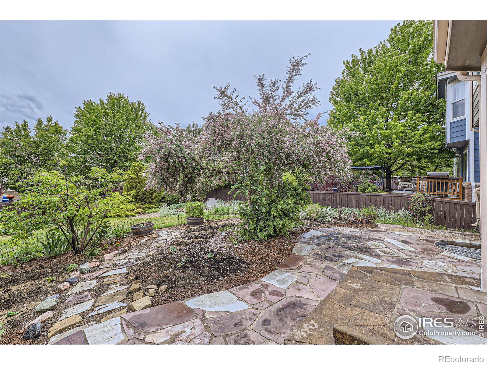 MLS Image #23 for 4580  nelson drive,broomfield, Colorado