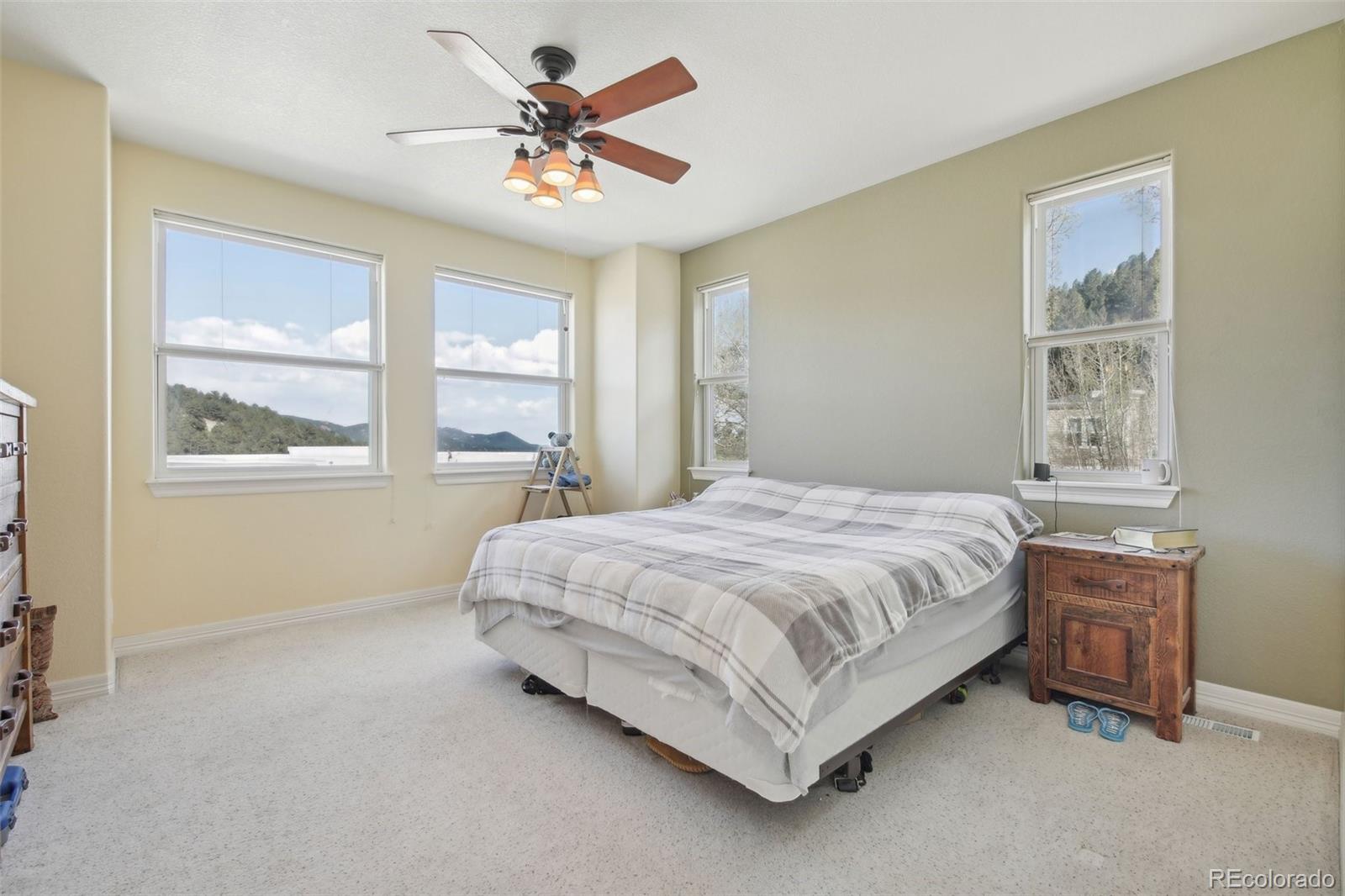 MLS Image #18 for 781  martin drive,central city, Colorado