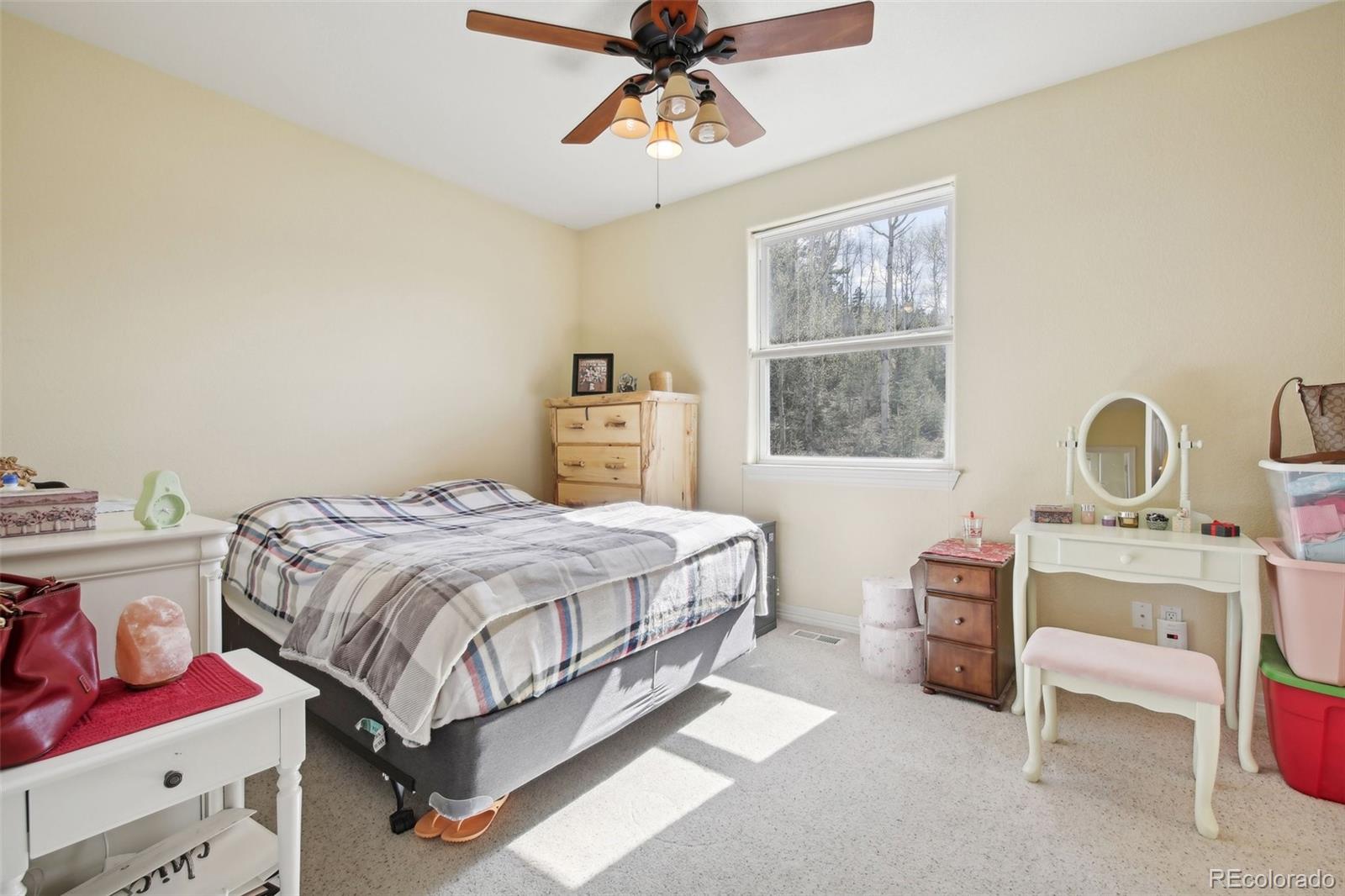 MLS Image #20 for 781  martin drive,central city, Colorado