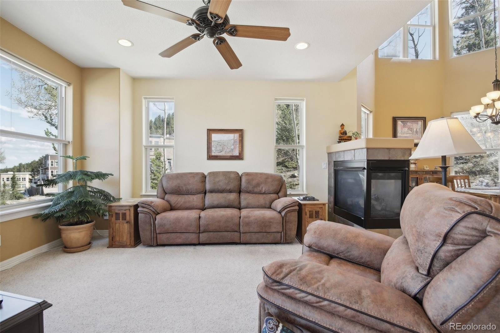 MLS Image #3 for 781  martin drive,central city, Colorado