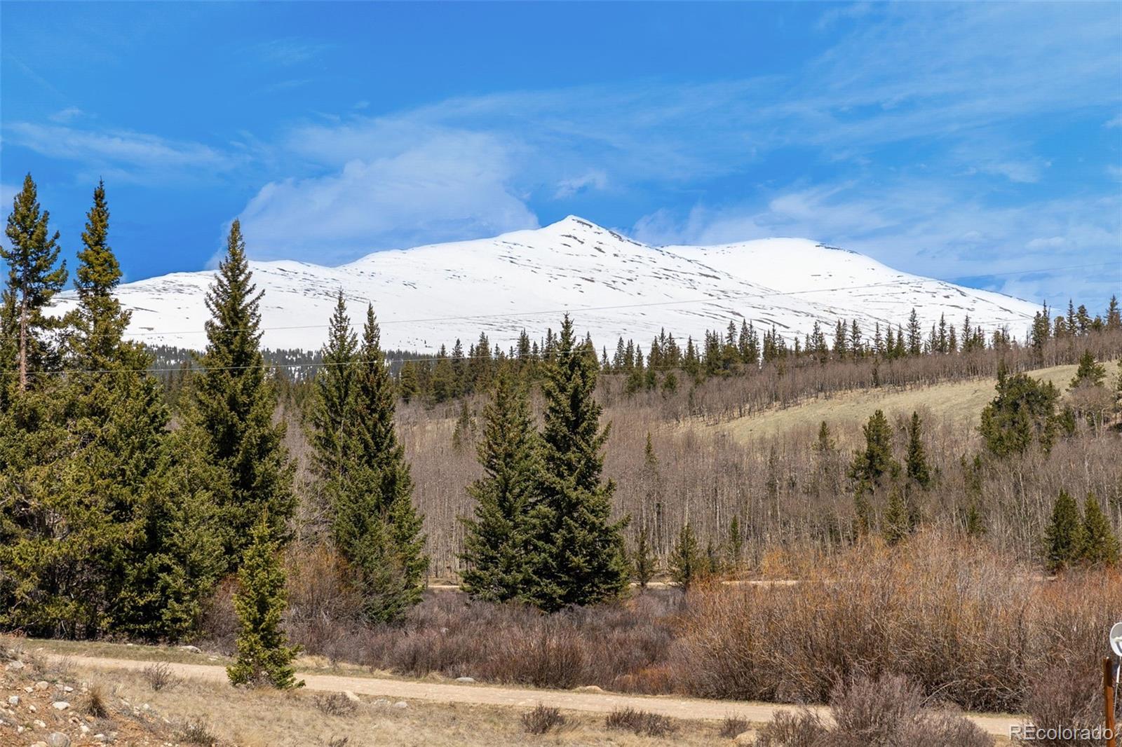 MLS Image #20 for 136  gold run road,alma, Colorado