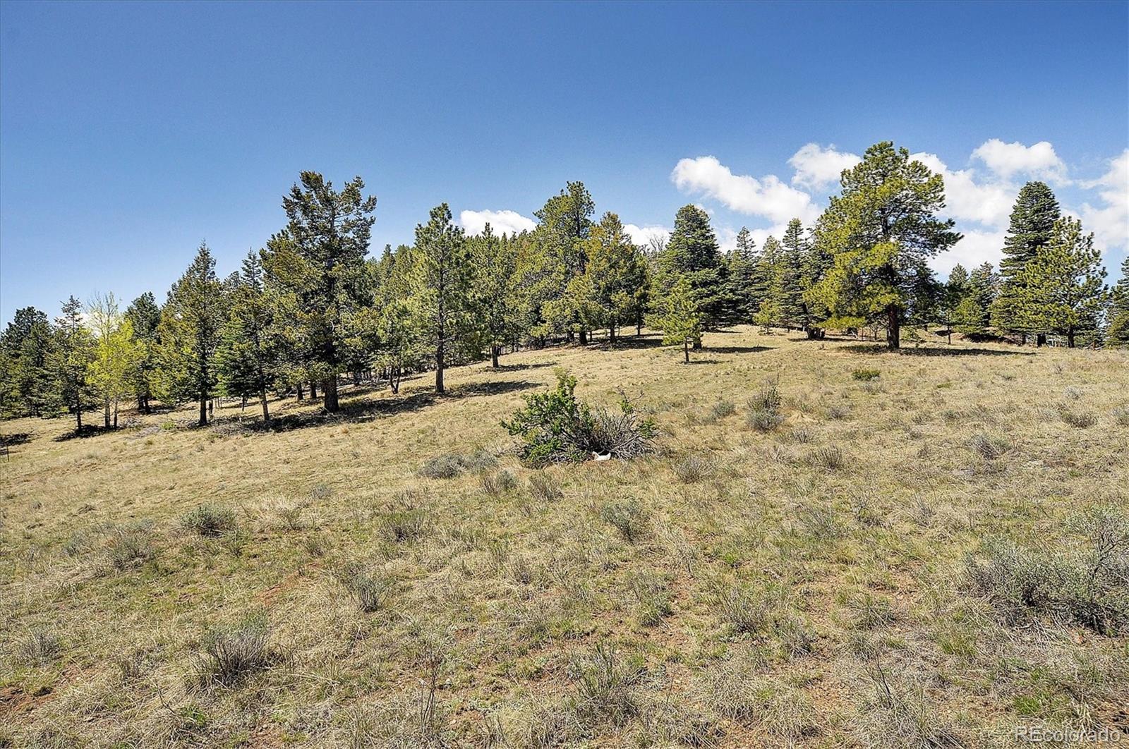 MLS Image #32 for 118  columbine crest,westcliffe, Colorado