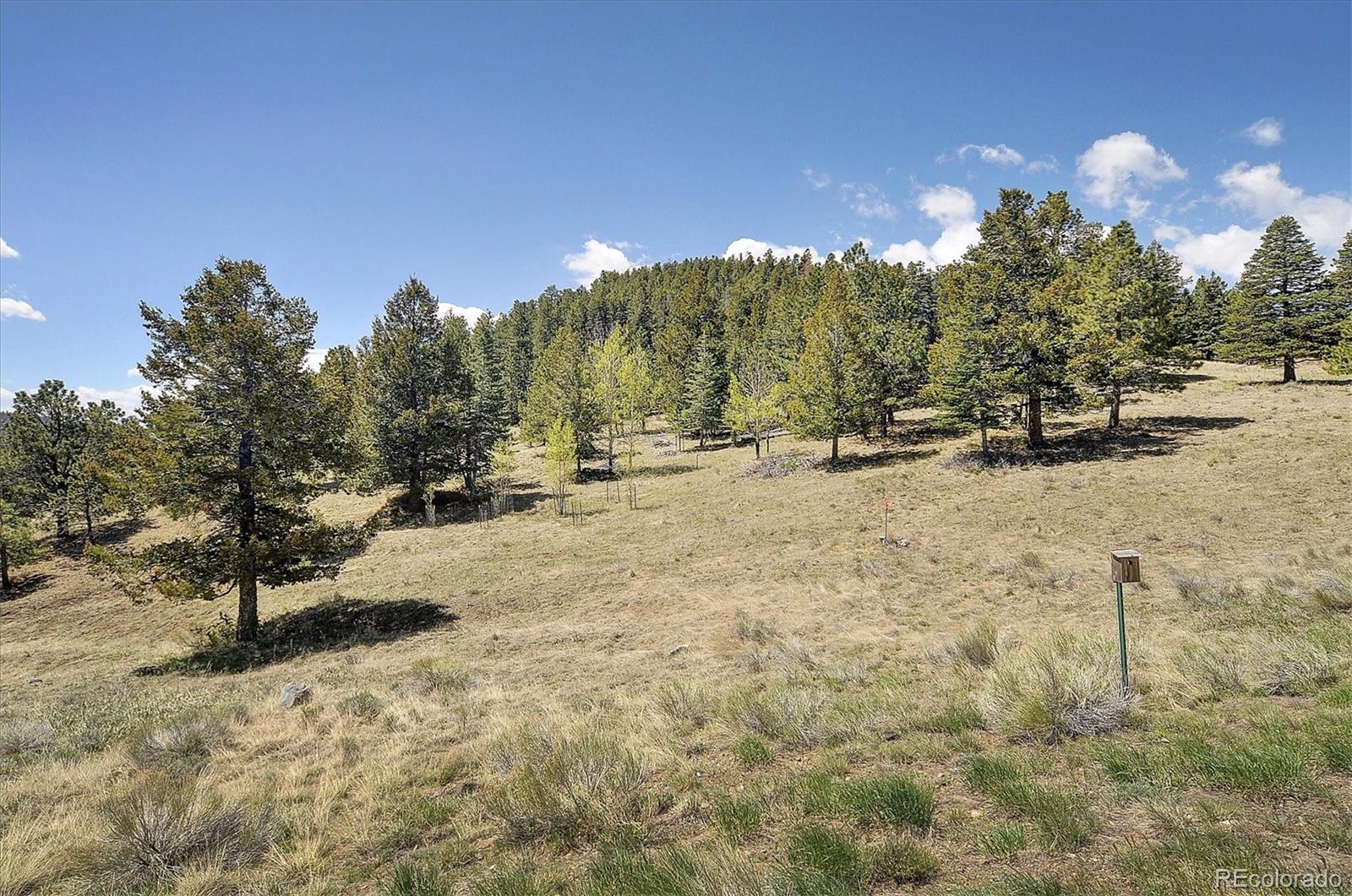 MLS Image #33 for 118  columbine crest,westcliffe, Colorado