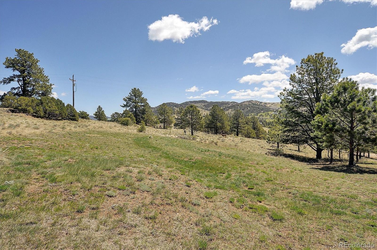 MLS Image #35 for 118  columbine crest,westcliffe, Colorado