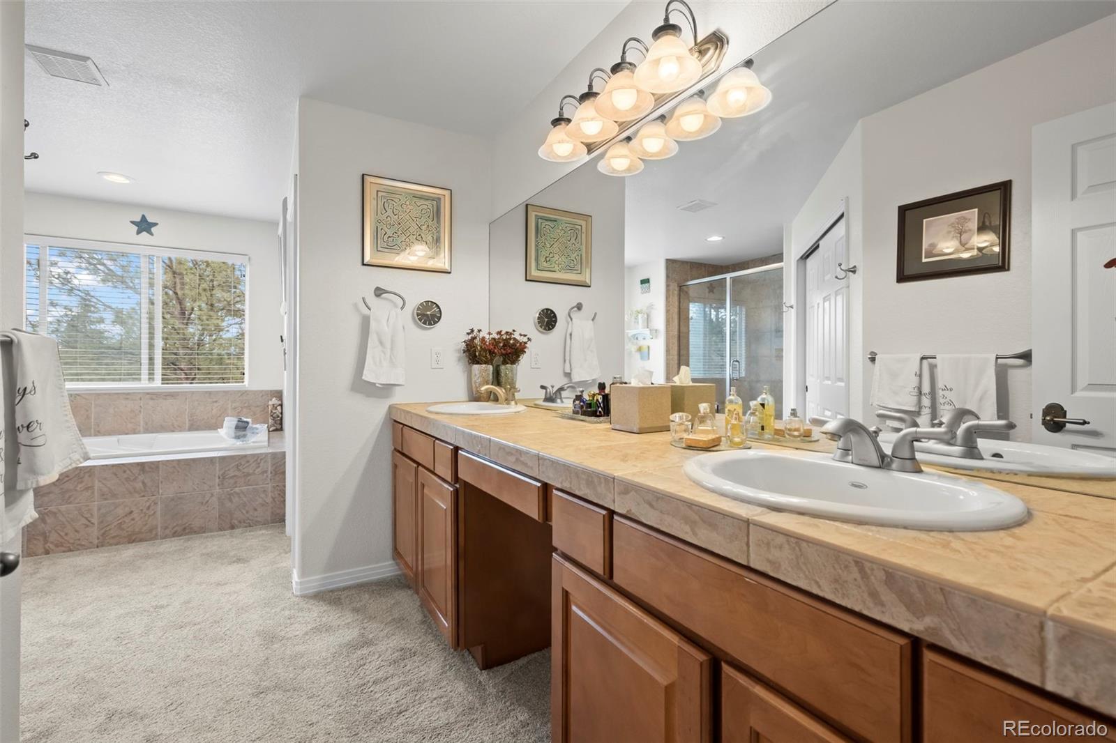 MLS Image #14 for 6156  elbert place,parker, Colorado