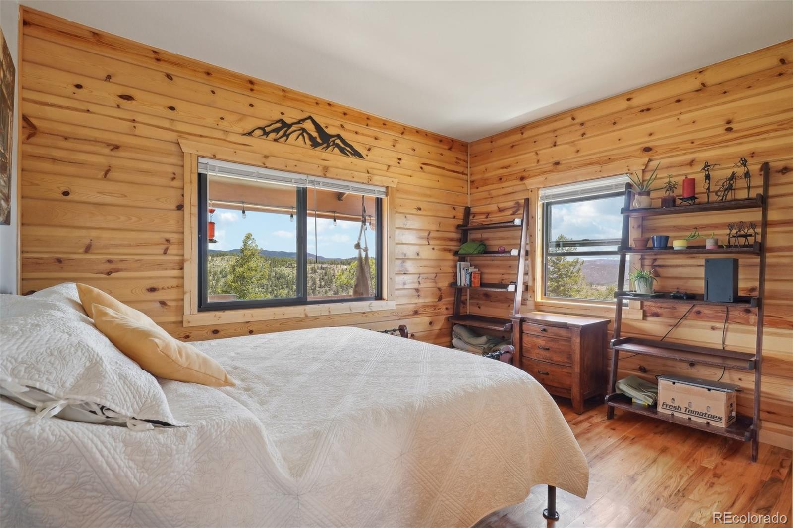 MLS Image #18 for 33827  mineral lane,pine, Colorado