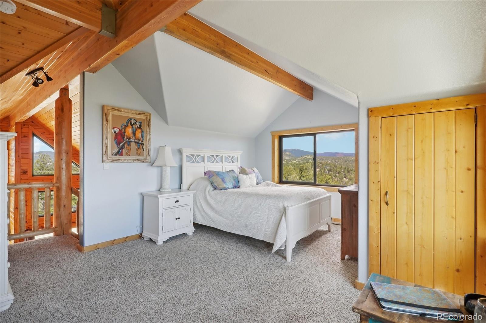 MLS Image #24 for 33827  mineral lane,pine, Colorado