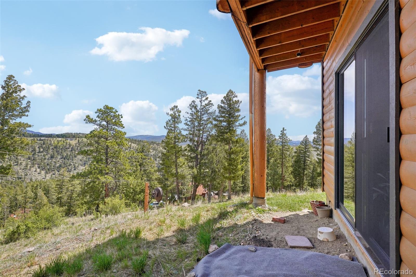 MLS Image #46 for 33827  mineral lane,pine, Colorado