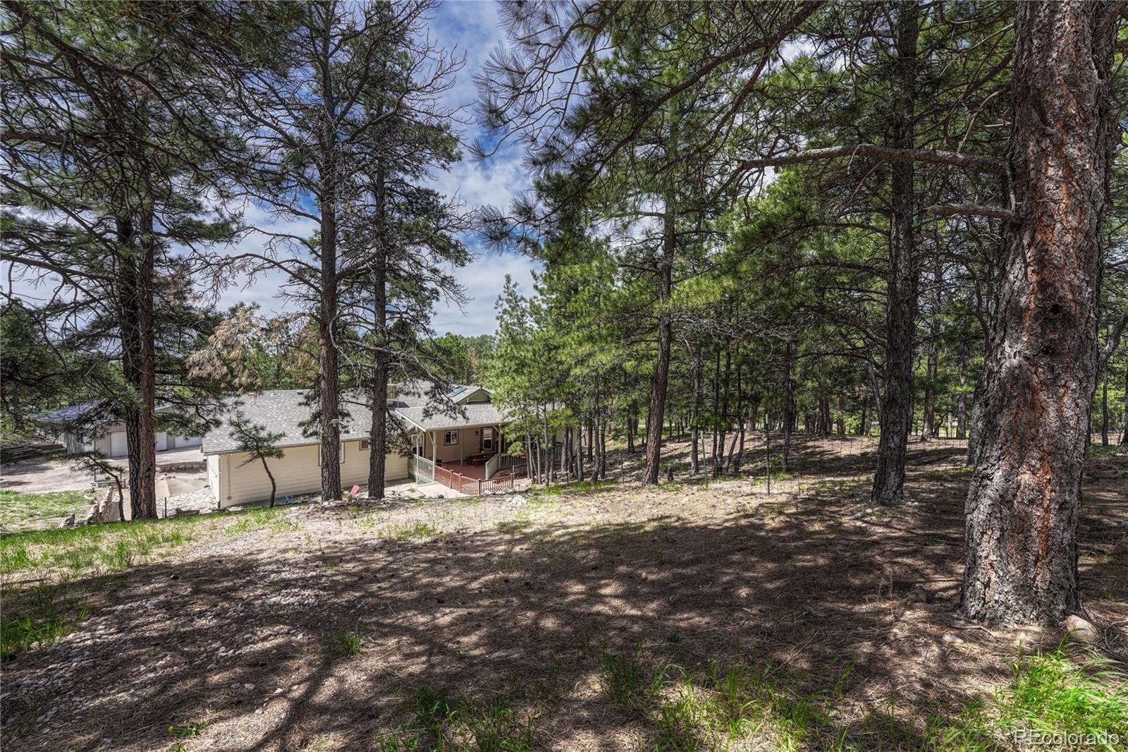 MLS Image #38 for 18660  steeplechase drive,peyton, Colorado