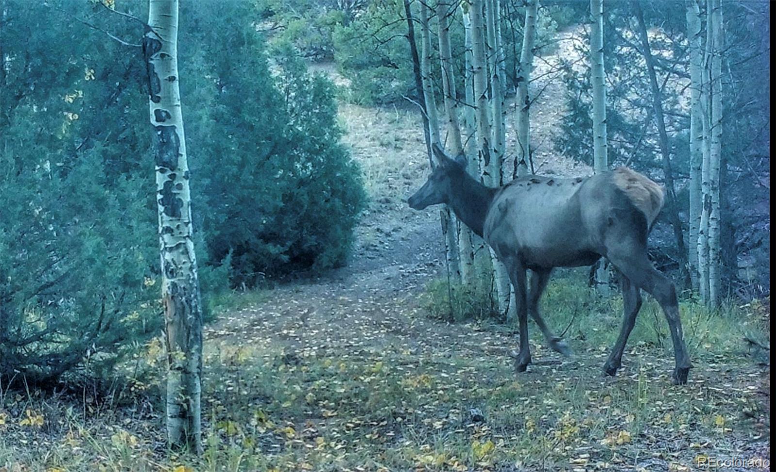 MLS Image #26 for 52601  county road ll56 ,villa grove, Colorado