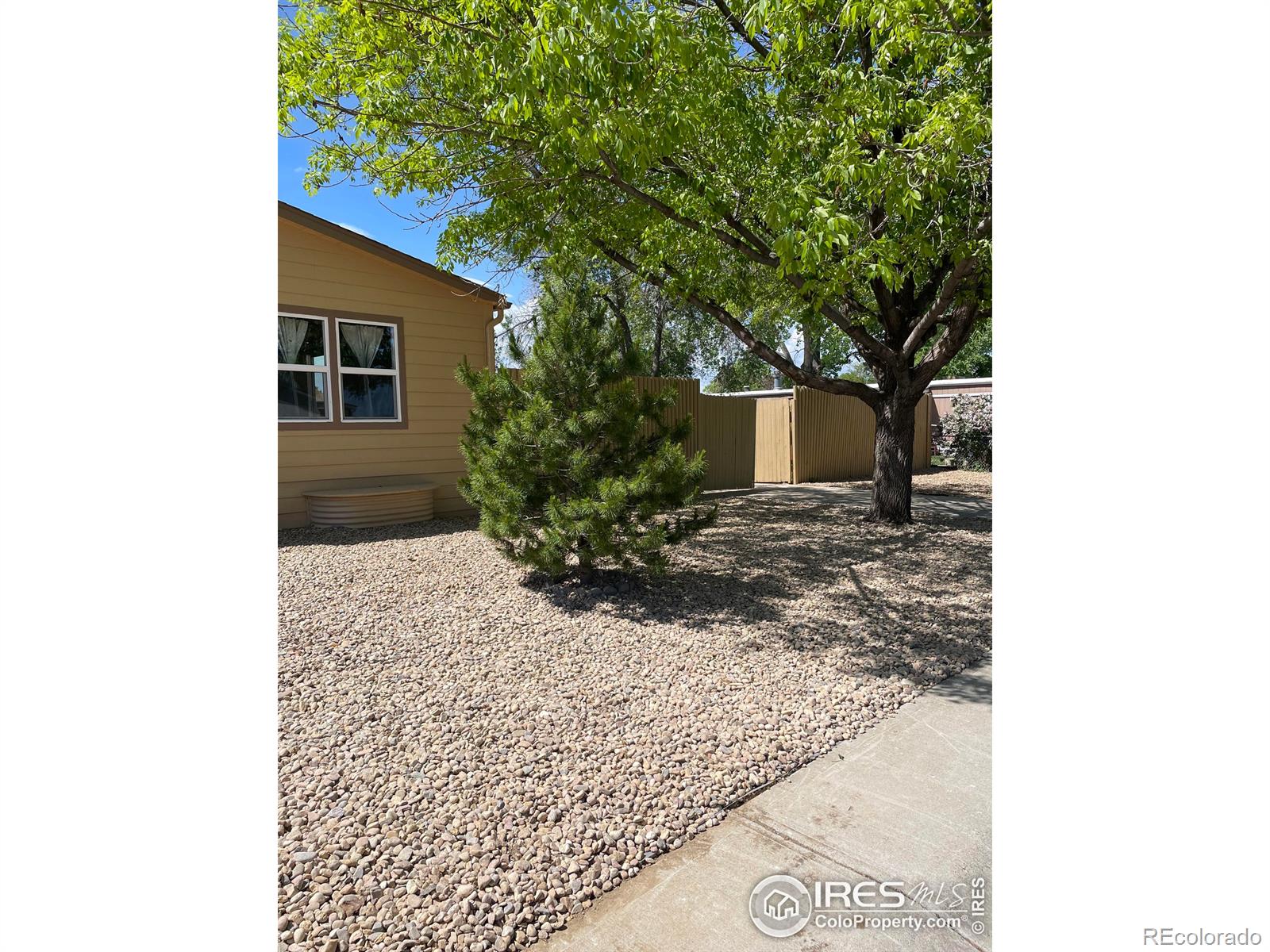 MLS Image #25 for 1213  mackay court,dacono, Colorado