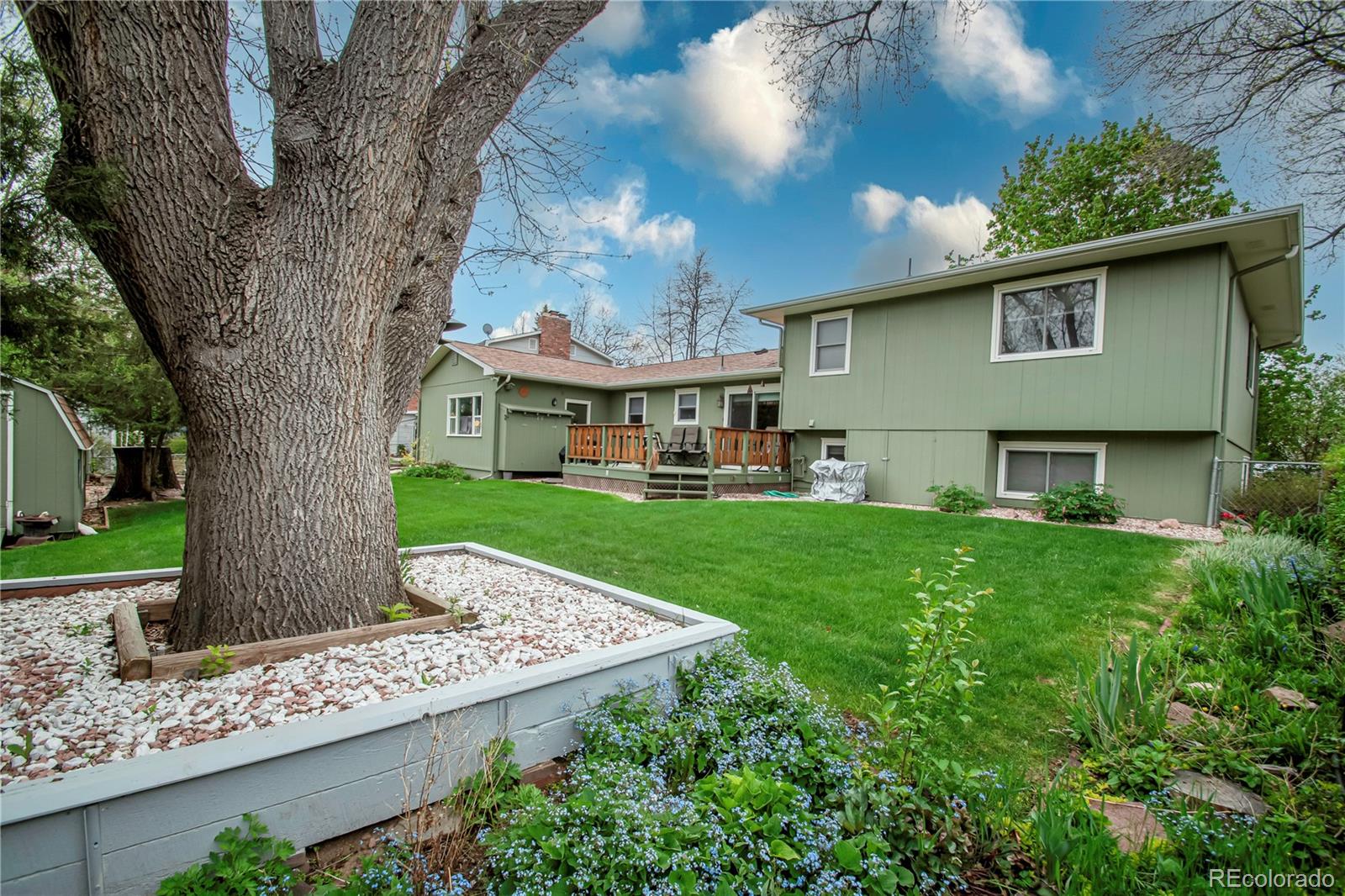 MLS Image #12 for 3016  phoenix drive,fort collins, Colorado