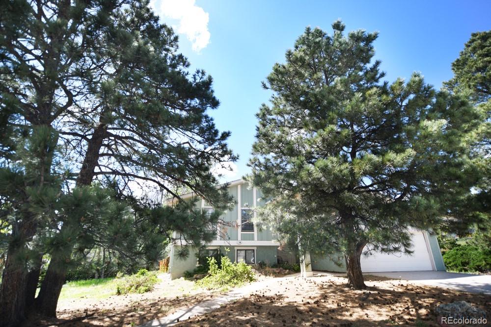 MLS Image #3 for 3110  vickers drive,colorado springs, Colorado