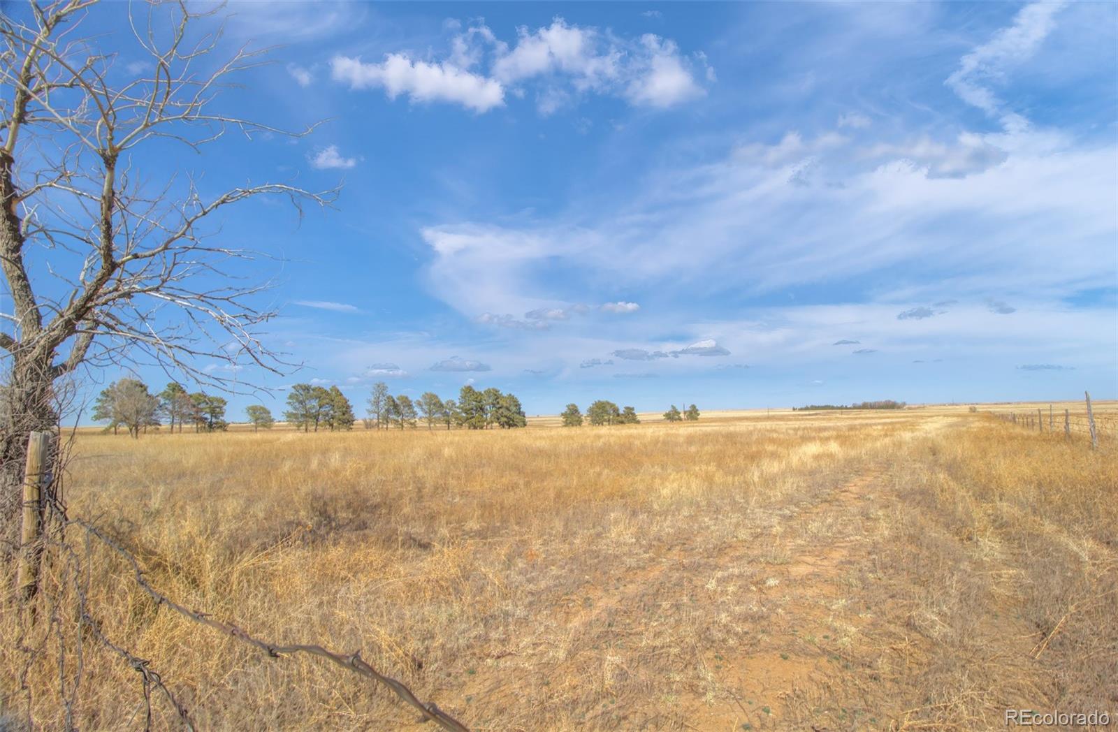 MLS Image #42 for 41115  highway 94 ,rush, Colorado